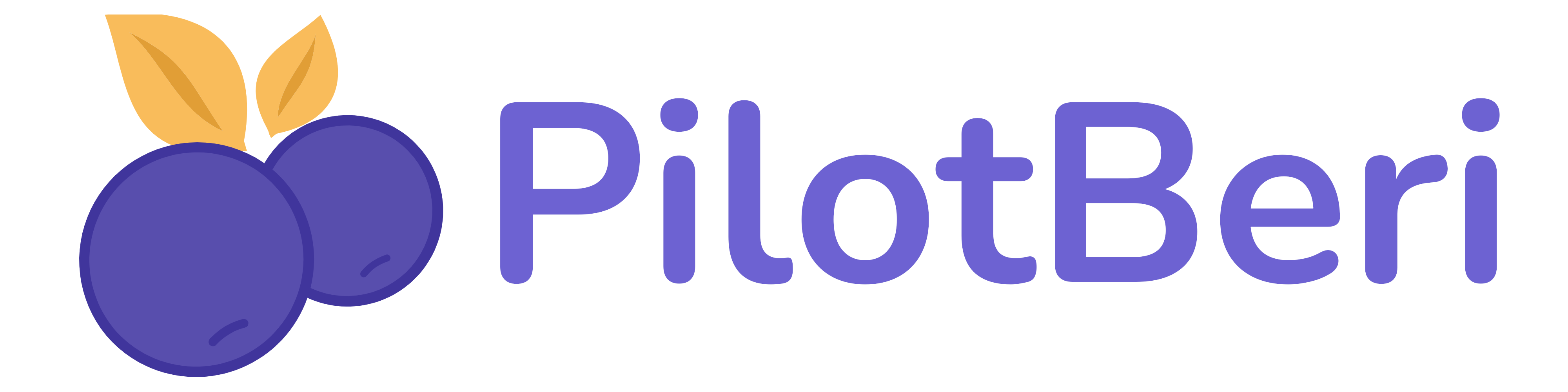 pilotberi